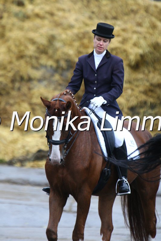 009M7868_Ducati_Dressur M.JPG